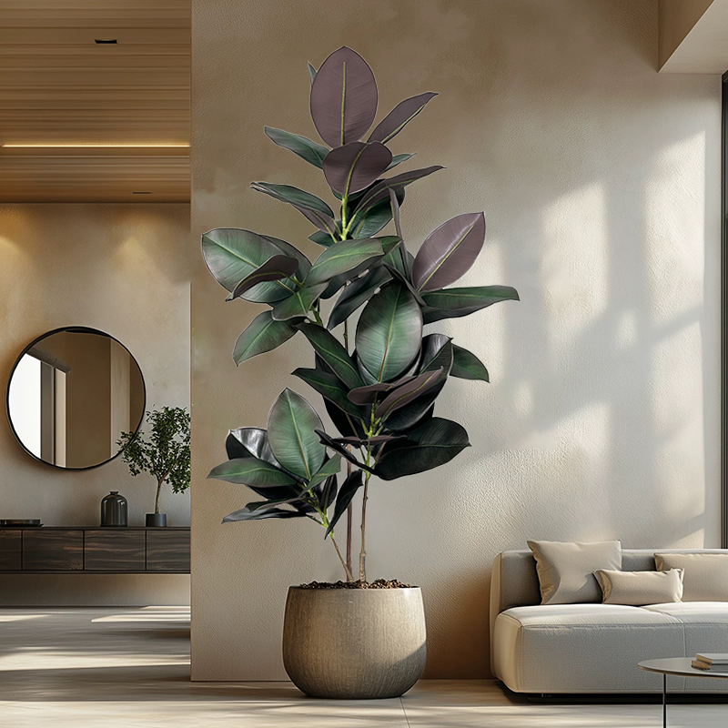 Rubber Plant Ficus - Sztuczny drzewko figowe o wysokości 70-150