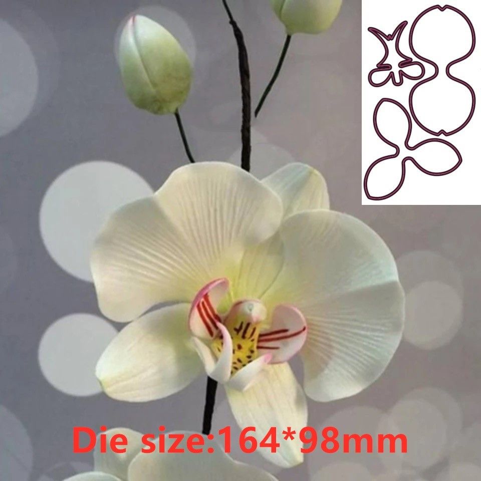 Orchid Phalaenopsis - Kwiat orchidei Metalowe matryce do wycinania