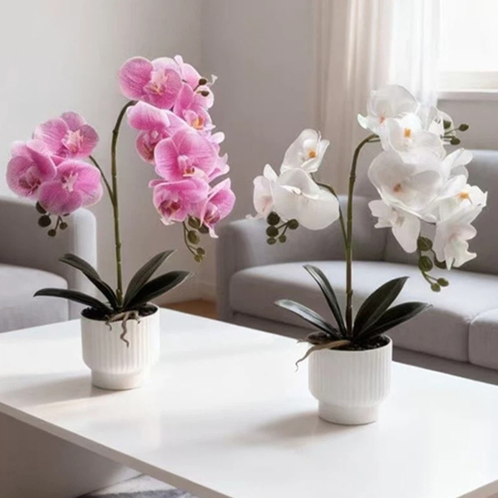 Sztuczna orchidea motylkowa Mu – Orchid Phalaenopsis recenzja i cena