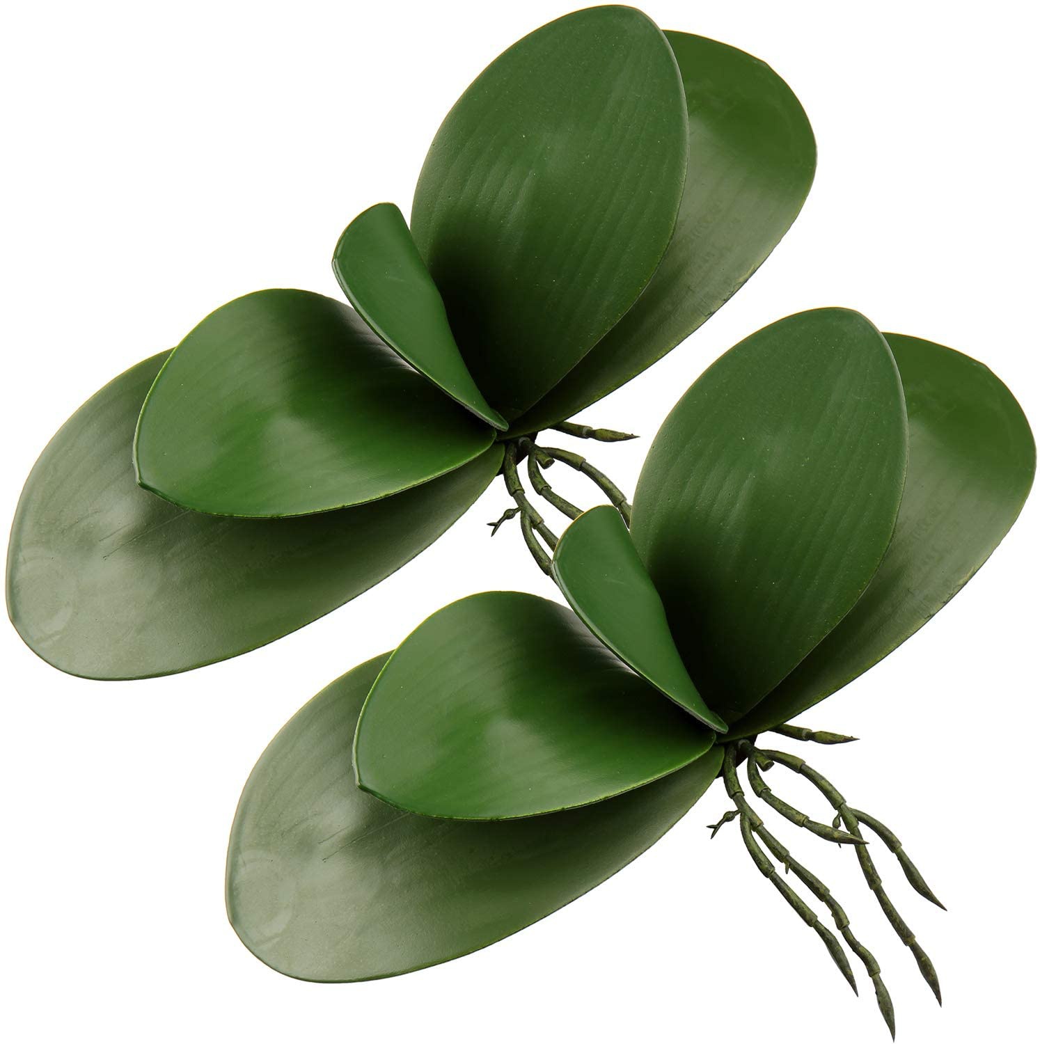 Sztuczne liście Phalaenopsis P – Orchid Phalaenopsis recenzja i cena