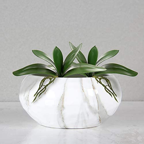 Sztuczne liście Phalaenopsis P – Orchid Phalaenopsis recenzja i cena