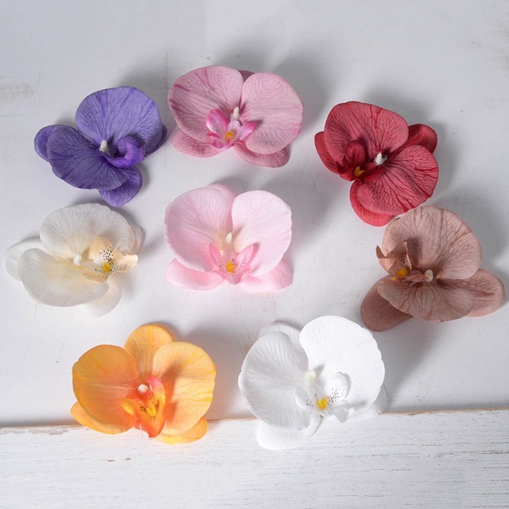 DIY Główki kwiatów Phalaenopsi – Orchid Phalaenopsis recenzja i cena