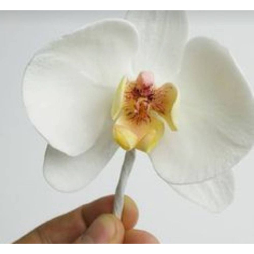 Kwiat orchidei Metalowe matryc – Orchid Phalaenopsis recenzja i cena