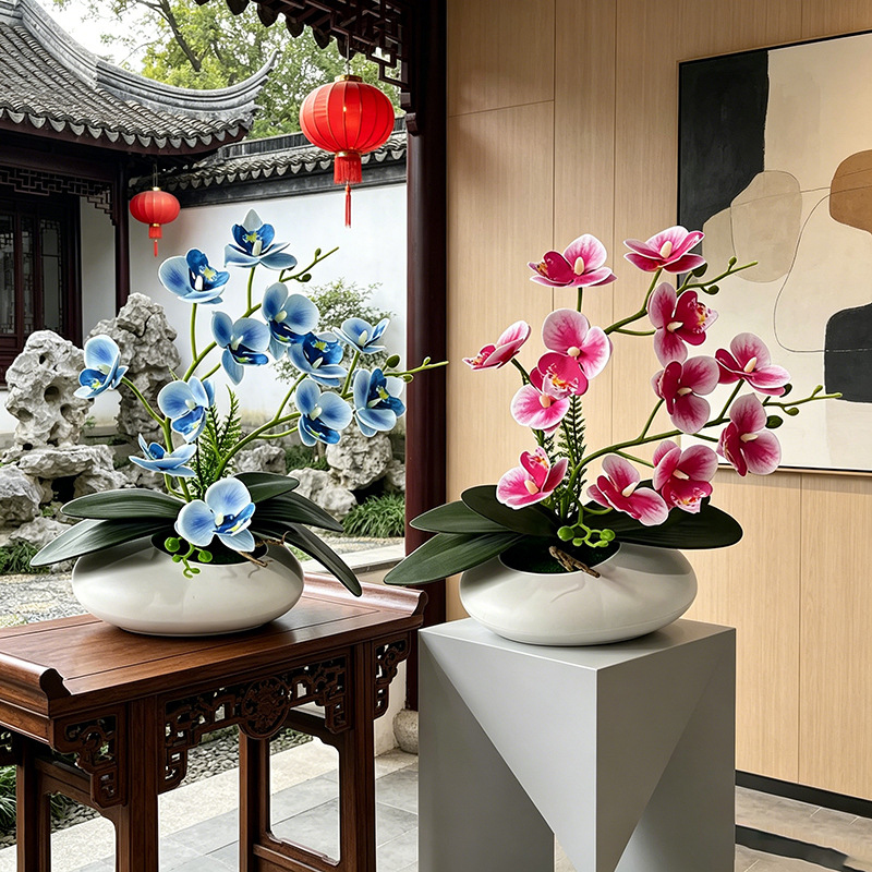 Orchidea Motylkowa 12 Kwiatów  – Orchid Phalaenopsis recenzja i cena