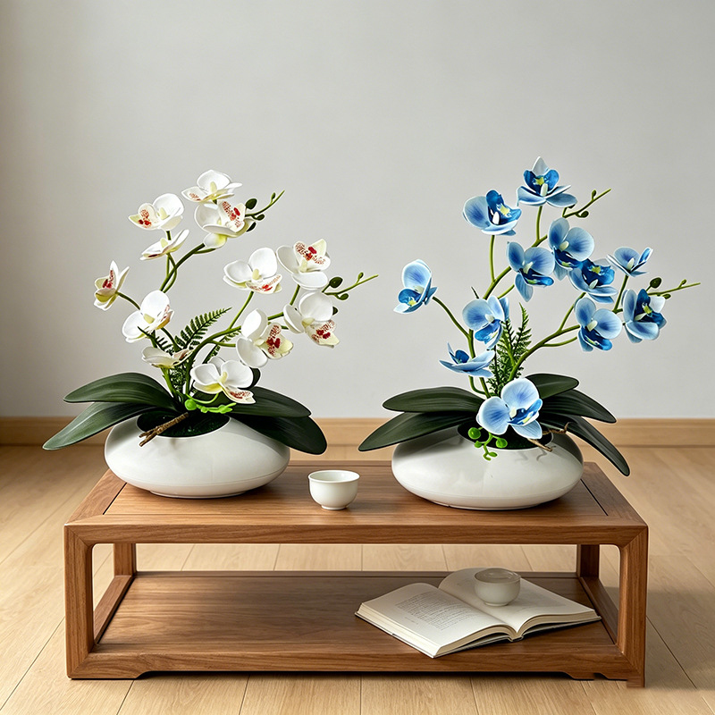 Orchidea Motylkowa 12 Kwiatów  – Orchid Phalaenopsis recenzja i cena