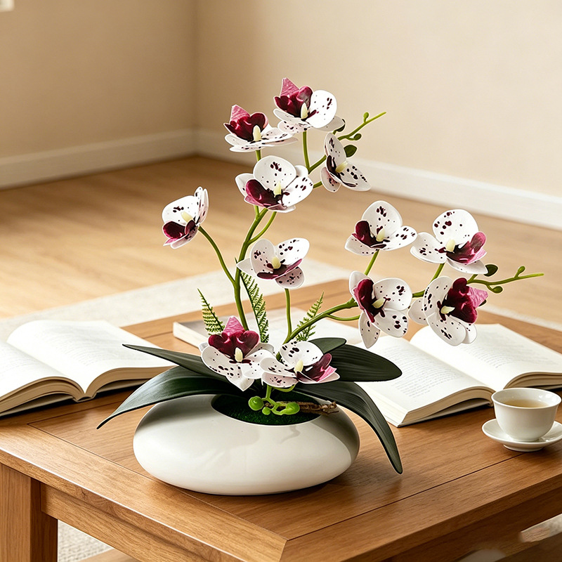 Orchidea Motylkowa 12 Kwiatów  – Orchid Phalaenopsis recenzja i cena