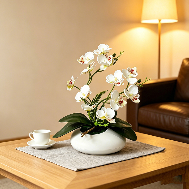 Orchidea Motylkowa 12 Kwiatów  – Orchid Phalaenopsis recenzja i cena