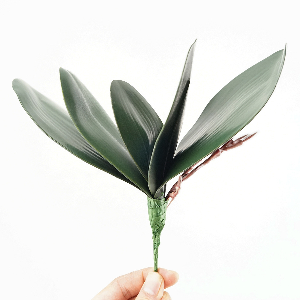 3szt Eva Symulacja Phalaenopsi – Orchid Phalaenopsis recenzja i cena