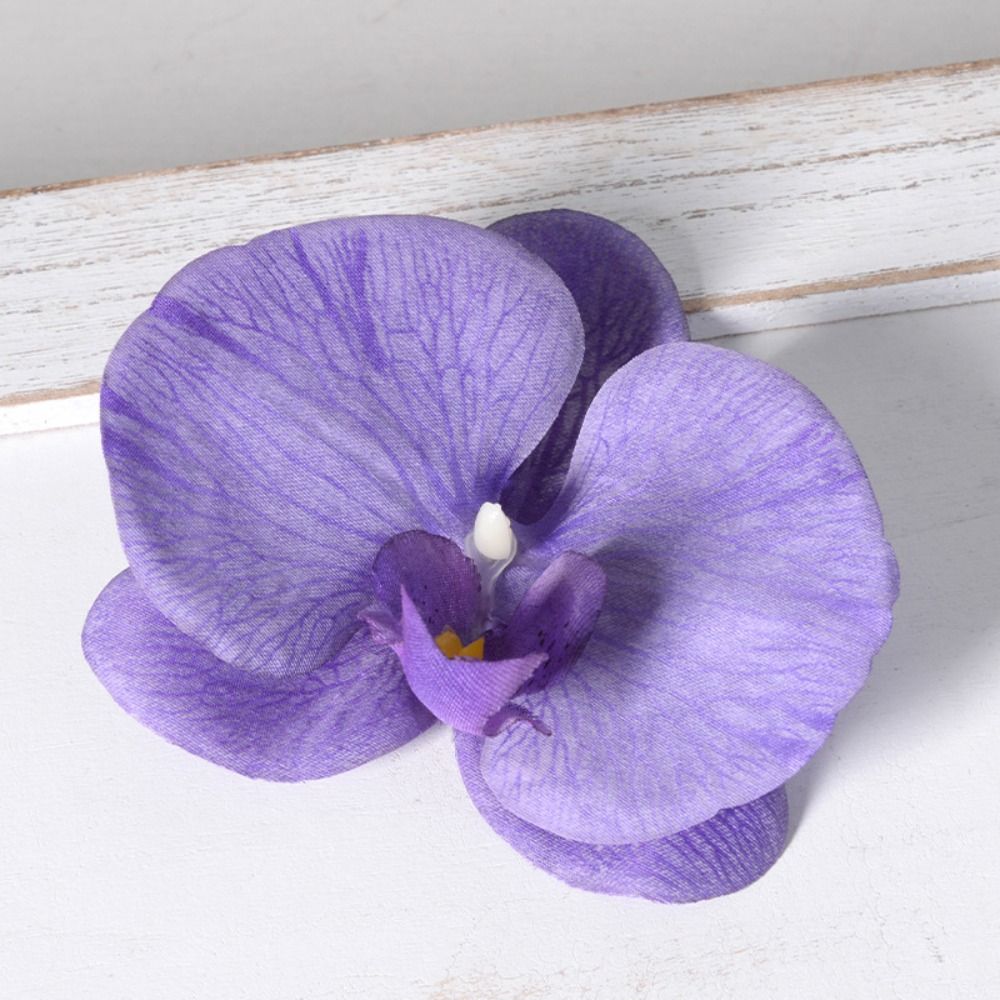 Główka kwiatowa Phalaenopsis D – Orchid Phalaenopsis recenzja i cena
