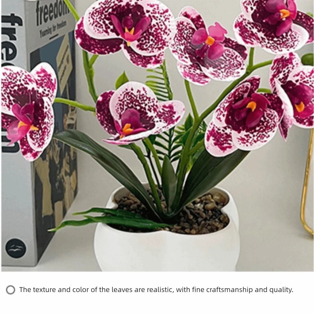 Sztuczna orchidea motylkowa Mu – Orchid Phalaenopsis recenzja i cena